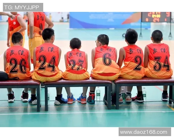 北辰篮球石家庄：打造青少年篮球梦想的热土与竞技平台